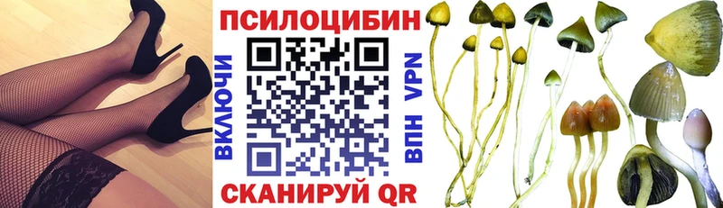 blacksprut ONION  Петушки  Псилоцибиновые грибы Psilocybe  даркнет сайт 